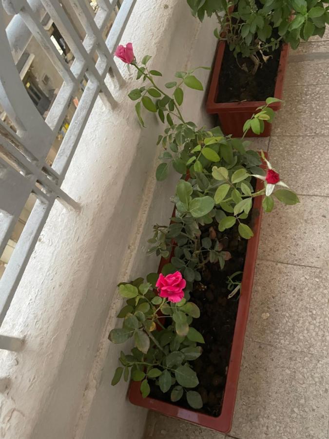 Central Cairo Hotel Экстерьер фото